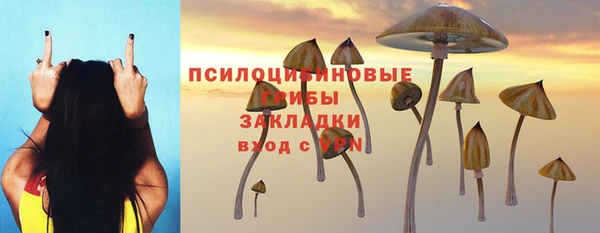 PSILOCYBIN Аркадак